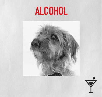 CATEGORY-alcohol_Lurcher-ezgif.gif