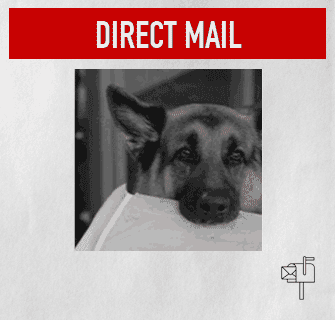direct-mail-dog.gif