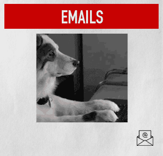 email-dog.gif