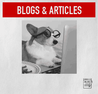 blogs-&-articles-dog.gif