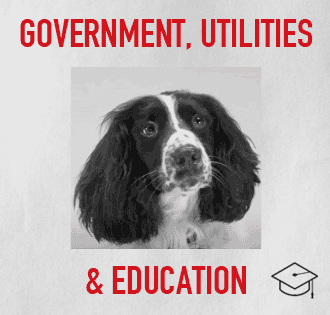 CATEGORY-government_bulldog.gif