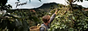 pickcoffee-d-torani.png