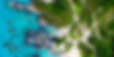 Banner Photo 1_edited.jpg