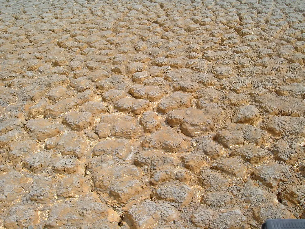 Enhanced LowerLakes_009.webp