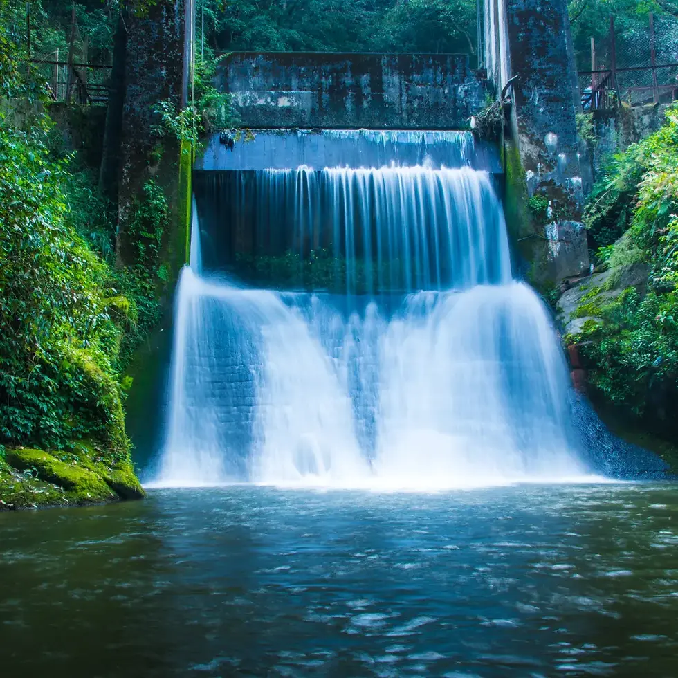 ES website photo9.webp