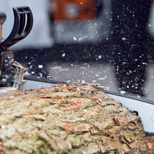 Problematic Fuel In Your Chainsaws?