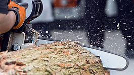 Logger cutting wood with chainsaw