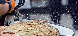 Vegitation Management Duffield R.E.A