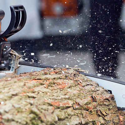 Logger cutting wood with chainsaw