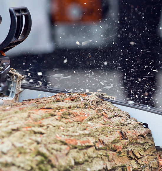 Logger cutting wood with chainsaw