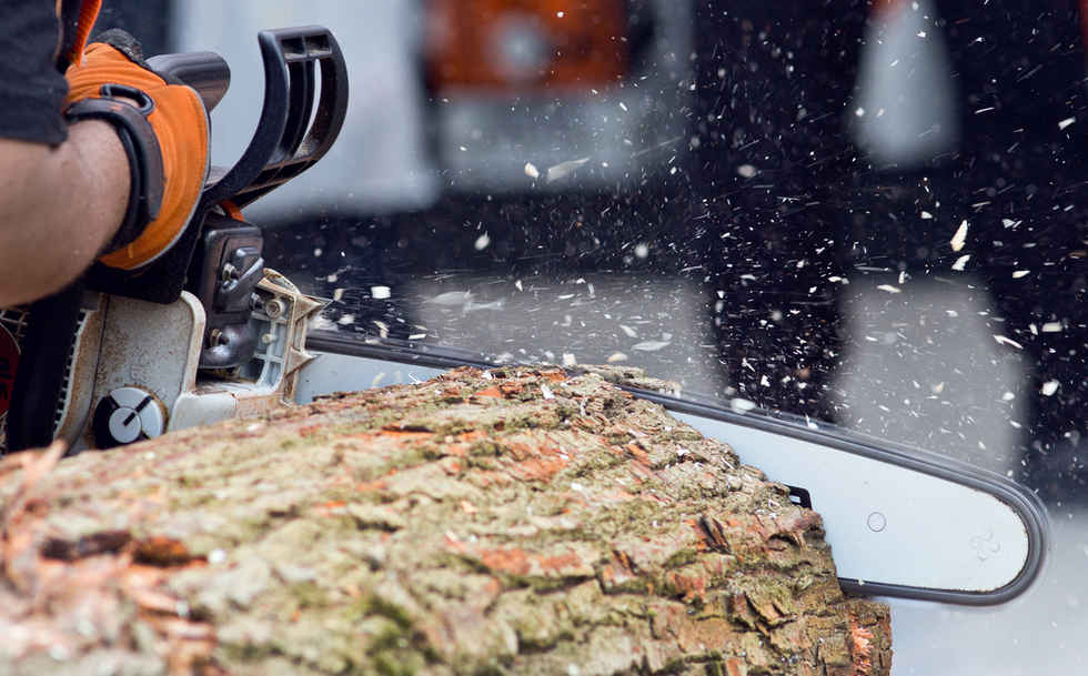 Logger Schneiden von Holz mit Kettensäge