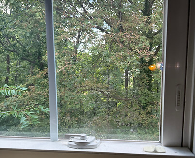 foggy glass replacement ervices in Arlington VA.jpeg