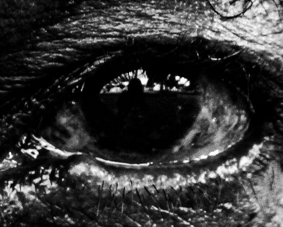 Fotografia Documental com Celebra.