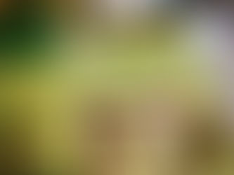 Athens November 2023 second game