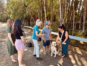 A Visit From Victoria Foundation