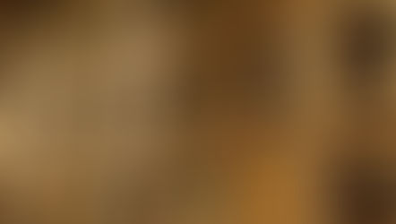 Disque de certification