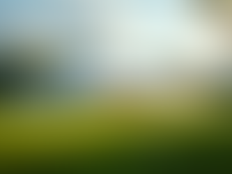 Party Rentals in Clermont, FL: Everything You Need