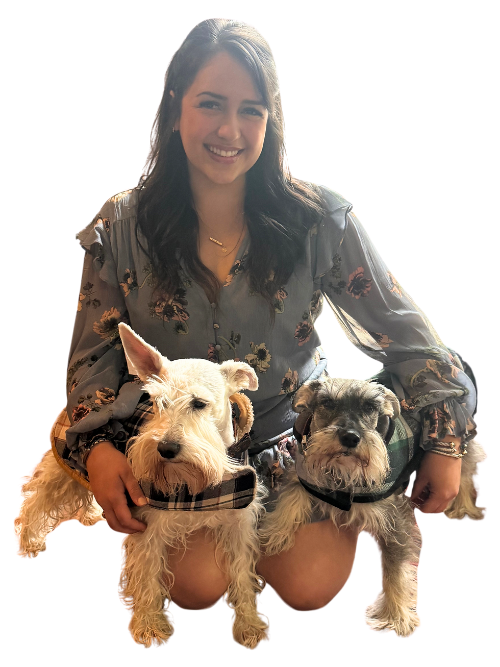 MO and Dapper Schnauzers