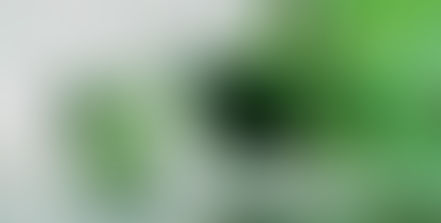 Clorofila Líquida: ¿Un suplemento recomendable?