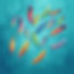 20 rainbow feathers gently falling from teal sky.jpg