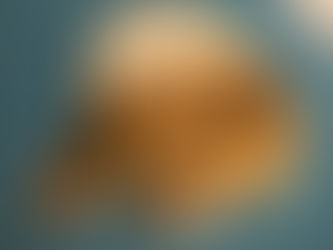 Citrus Jerk Tilapia & Roasted Garlic with an Herb Cauliflower Mash