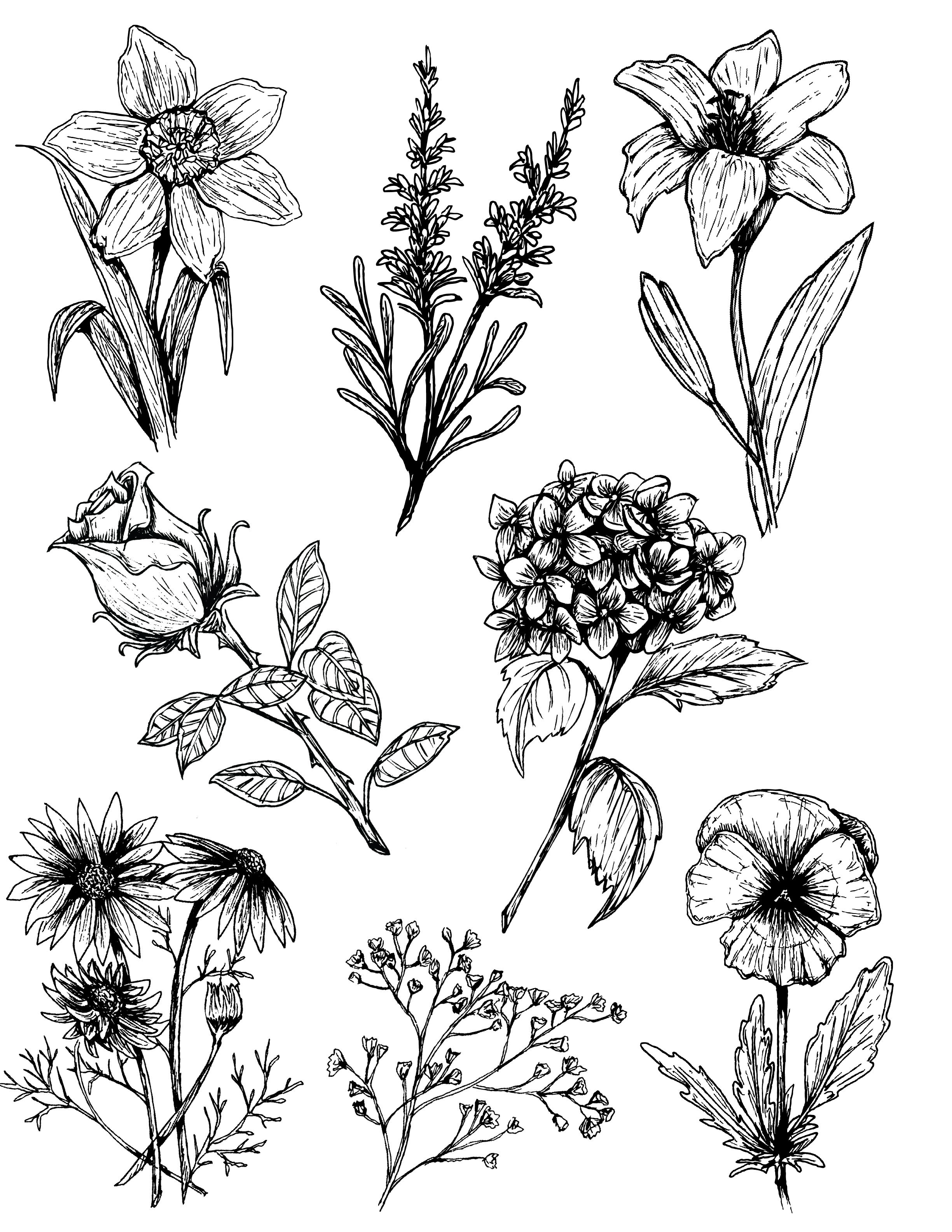 Spring Flowers Bundle- Coloring Book Page