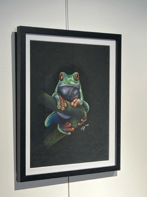 Greg The Tree Frog