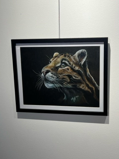 Clouded Leopard