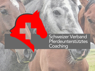 Neue Weiterbildungsdaten sind online!