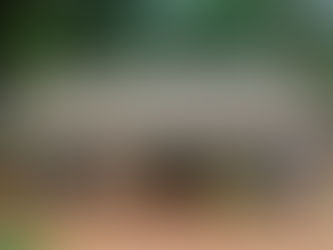 The Sahel's High Stakes: When Political Risk Outweighs Economic Reward