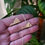 Thumbnail: Virginia Silver Pendant