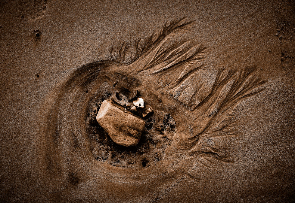 21 Natures Art - Jelly Fish.jpg