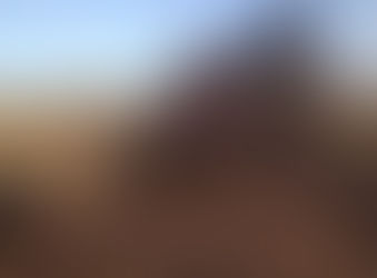 Sheep Dog West Texas 2014 Hunt