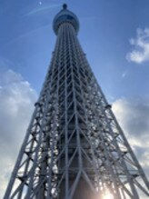 東京スカイツリーを下から撮った写真
