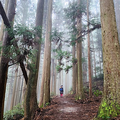 Gr. 10 Expeditions (Pilgrimage)-102340.jpg