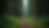 Eye-level view of a forest trail surrounded by tall evergreen trees
