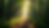 High angle view of a serene forest path with sunlight filtering through the trees