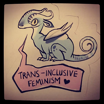 Trans-Inclusive Feminism