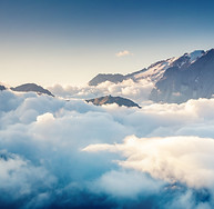 AdobeStock_95262204.jpeg