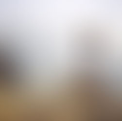 Somos aprendizes da vida no processo evolutivo