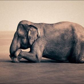 Reflexão sobre aceitação, perdas e humildade na vida.