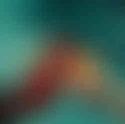 All-inclusive Costa Rica corporate offsite food and beverage featuring fresh tacos, craft tropical cocktails, and traditional Costa Rican cuisine at ONDA Playa Grande