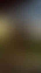 Modern glass terrace with panoramic vineyard views at sunset – exclusive-use Georgian wine estate retreat venue in Kakheti