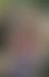 Guest taking photos and celebrating at a destination wedding reception