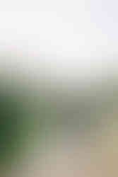 Bride and groom walking along The Chanler at Cliff Walk grounds in Newport, Rhode Island — oceanfront boutique hotel exclusive-use wedding venue