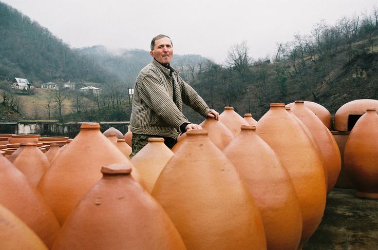 Georgian winemaker standing among traditional qvevri clay pots in Kakheti wine region – UNESCO-recognized 8,000-year winemaking tradition