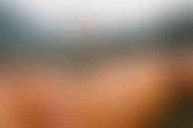 Georgian winemaker standing among traditional qvevri clay pots in Kakheti wine region – UNESCO-recognized 8,000-year winemaking tradition