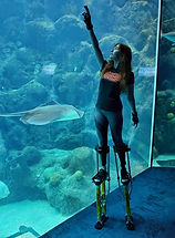 144936164_429542925058115_35355114066428