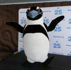 Rocky The Penguin