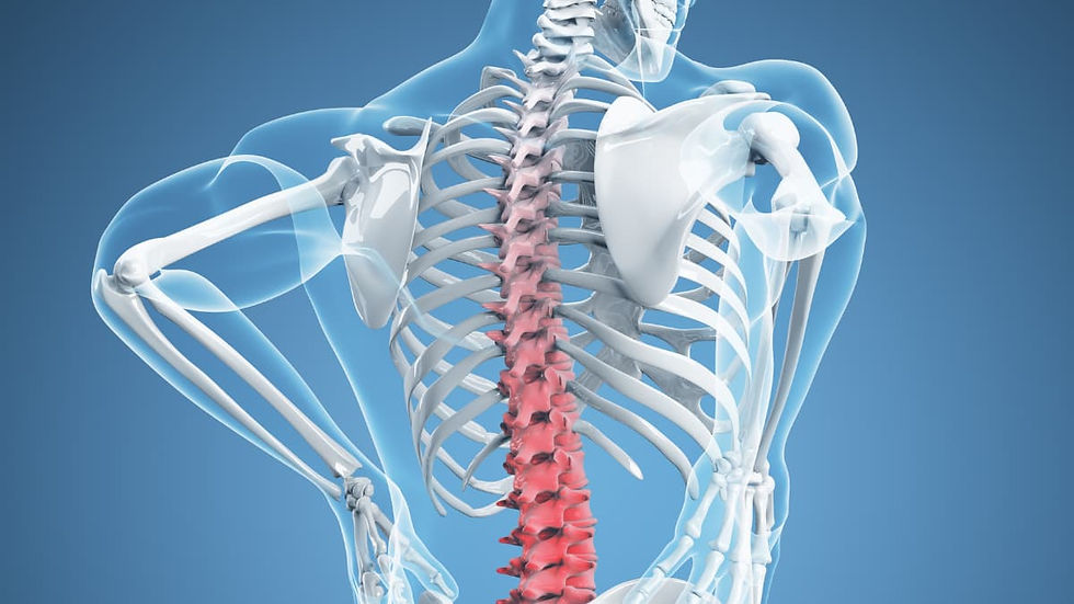 反り腰のメカニズム